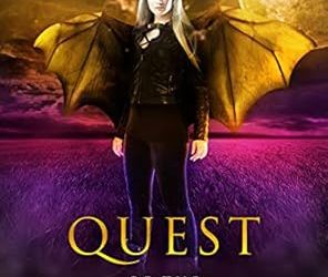 Quest of the Valkyrie (Books 1–4)