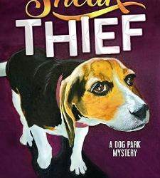 Sneak Thief