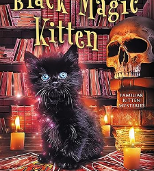 Black Magic Kitten