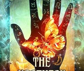 The Northern Witch Series (Complete Series)
