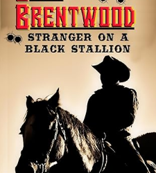 Stranger on a Black Stallion