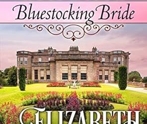 Bluestocking Bride